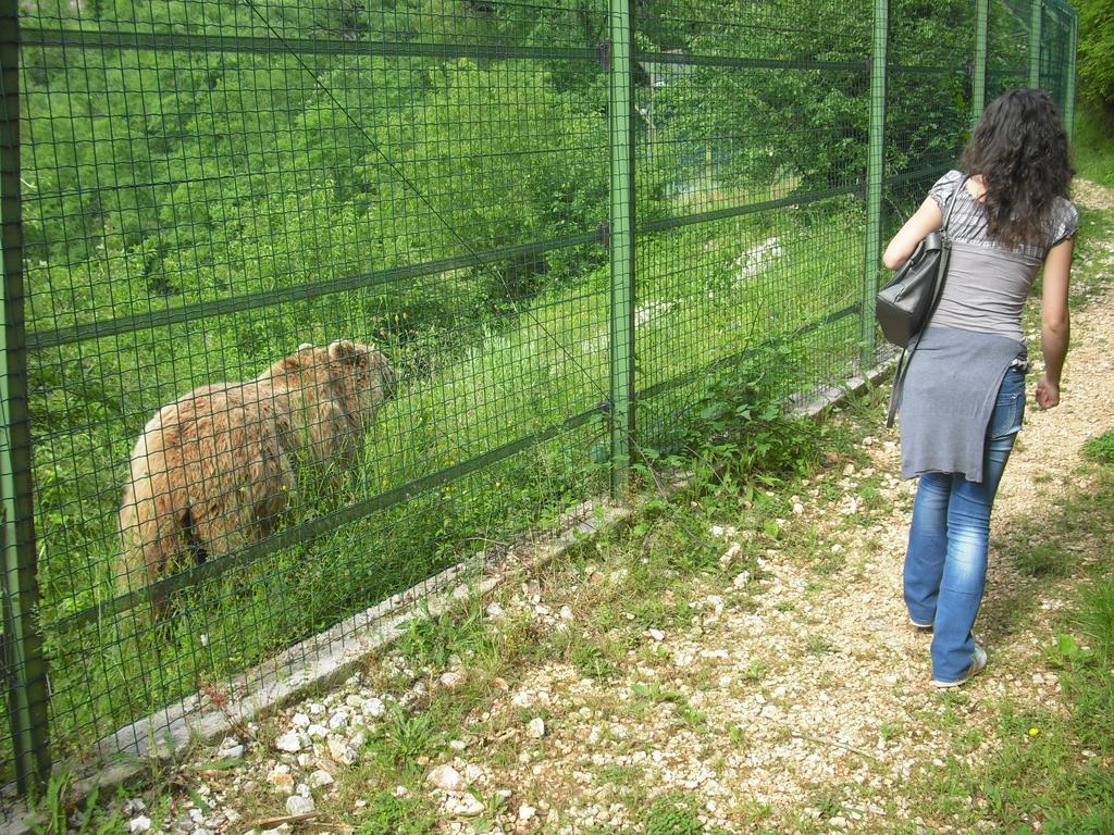 La Casa Sul Lago Posta Fibreno Zewnętrze zdjęcie