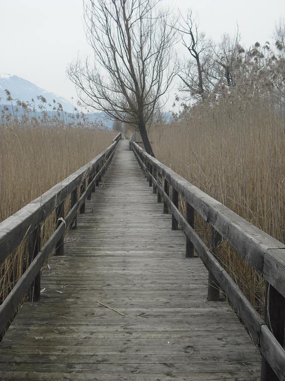 La Casa Sul Lago Posta Fibreno Zewnętrze zdjęcie
