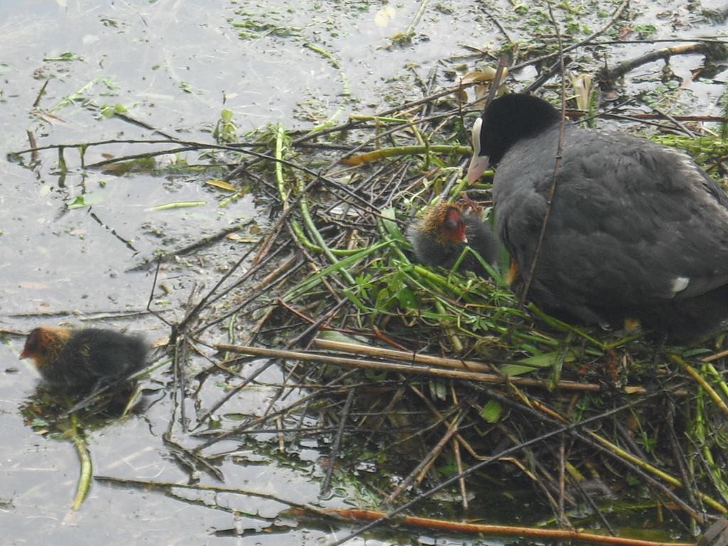 La Casa Sul Lago Posta Fibreno Zewnętrze zdjęcie